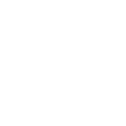 professional association climbing instructors