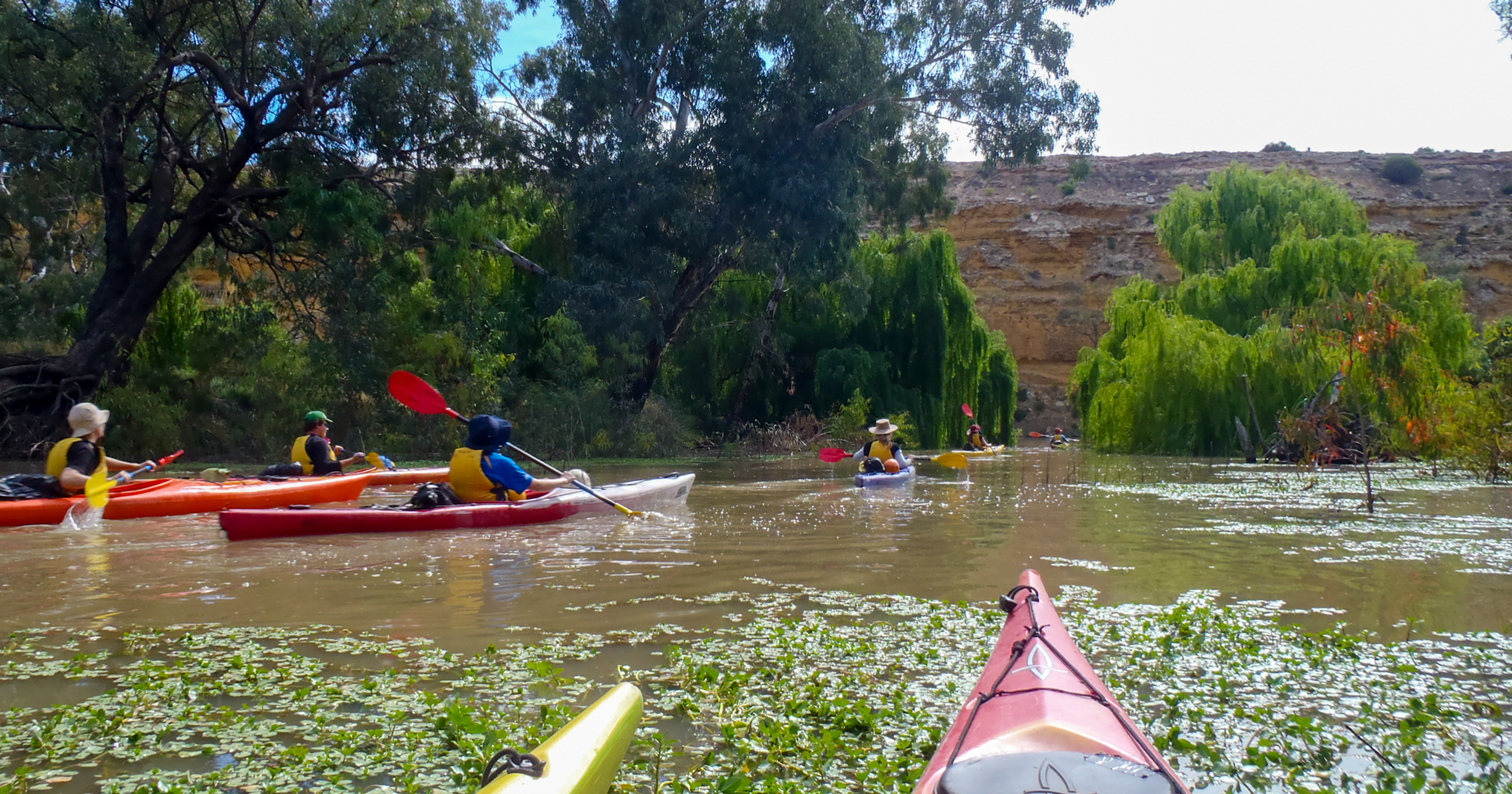 Students and teachers kayak